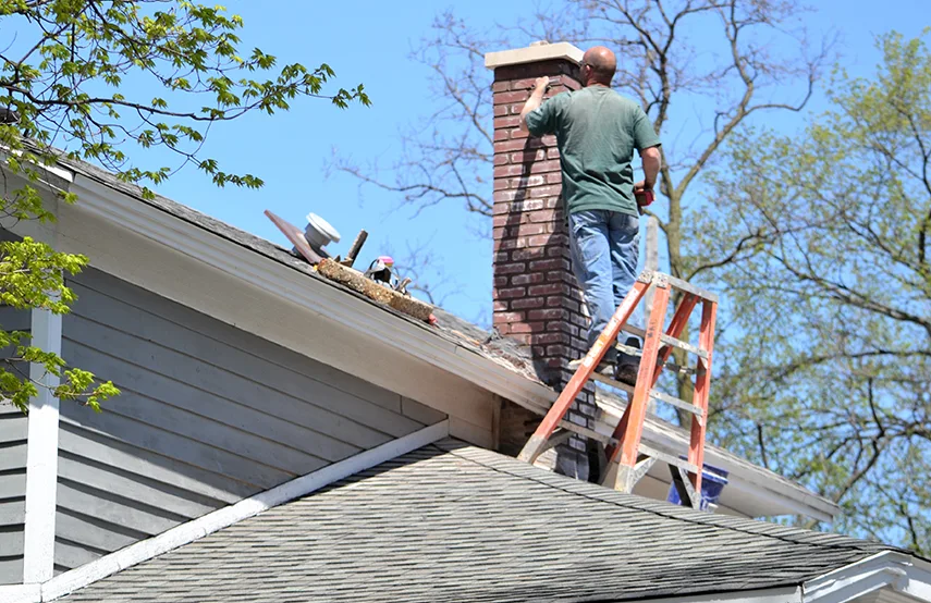 Chimney & Fireplace Inspections Services in Cortland, NY